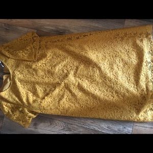 Never worn LOFT dress!